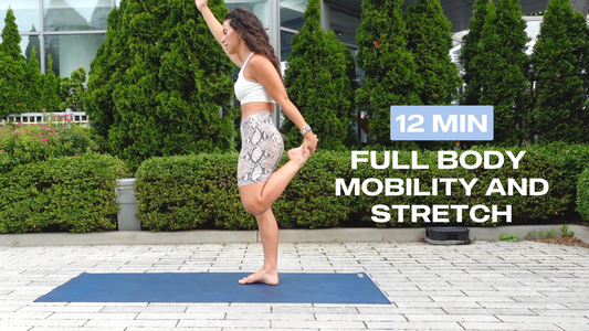 12 Min Full Body Mobility & Stretch