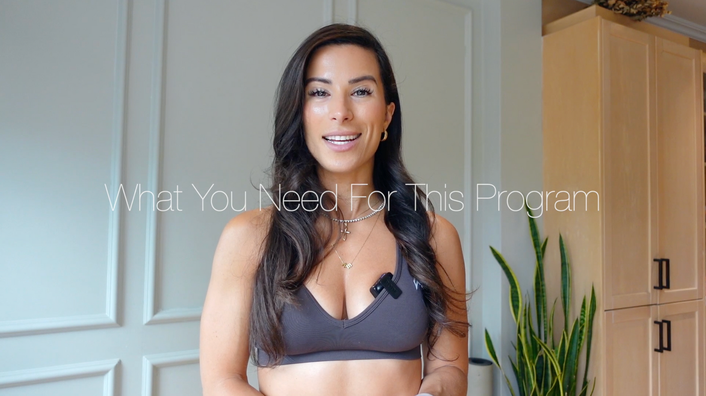 What You Need For This Program